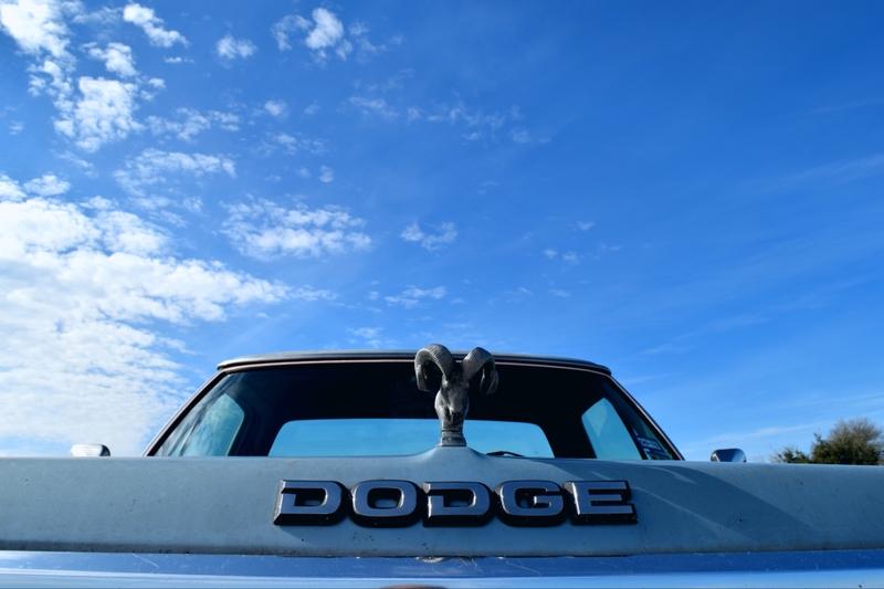 I love the hood ornament